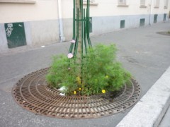 paris,10e,espaces-verts,végétalisation,