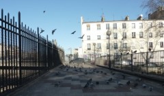 paris,18e,square-jessaint,pigeons,rats,dératisation,salubrité-publique