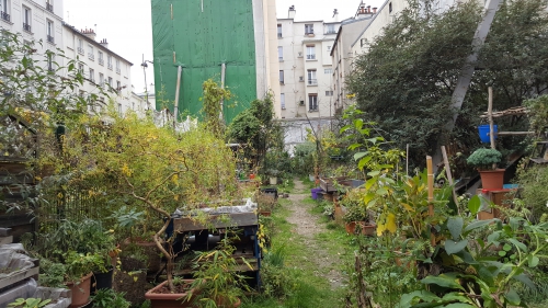 paris,jardin,goutte d'or,urbanisme