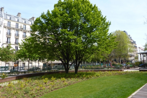 paris,square anvers,végétalisation,espaces verts